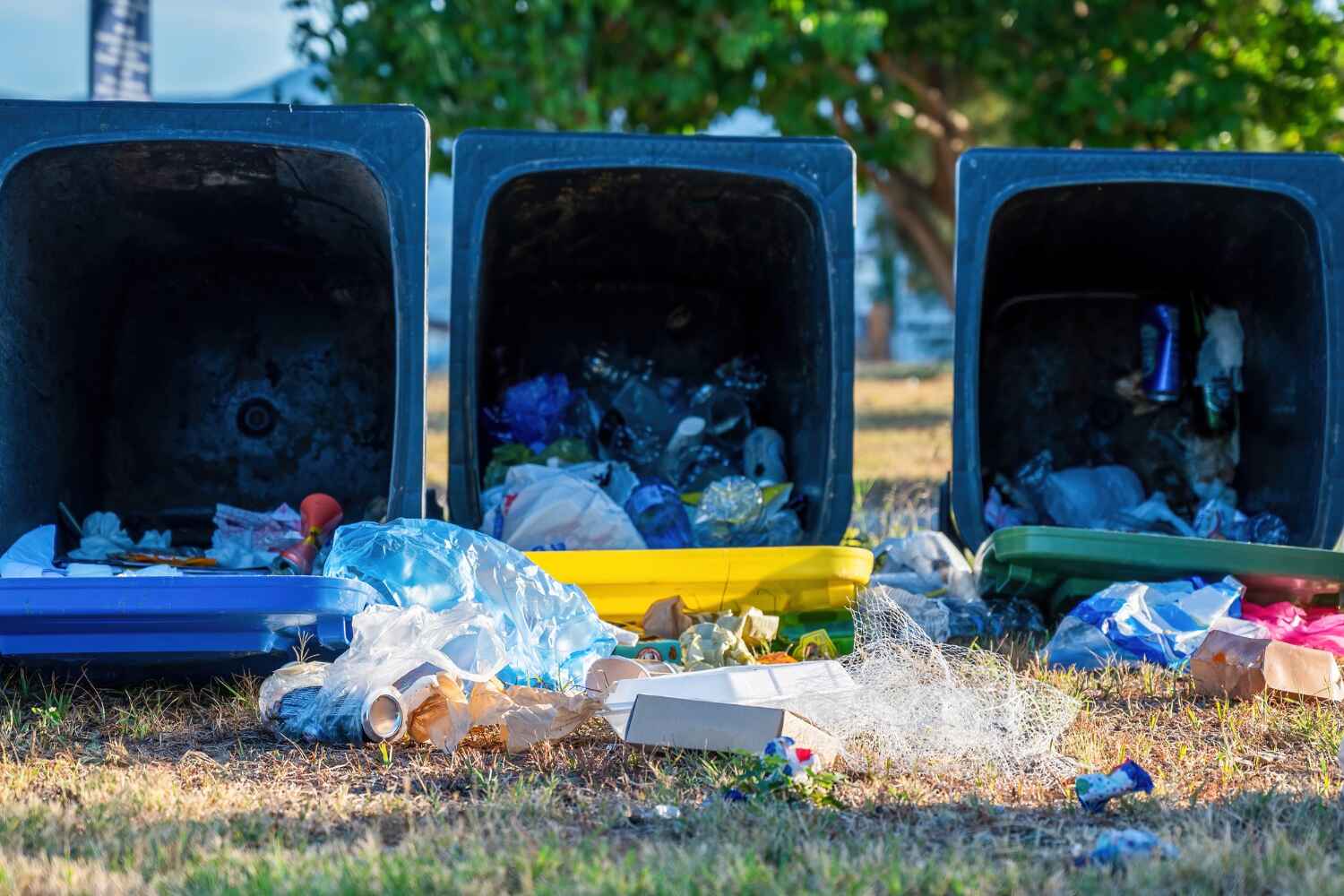 Best Construction Debris Removal  in Parachute, CO